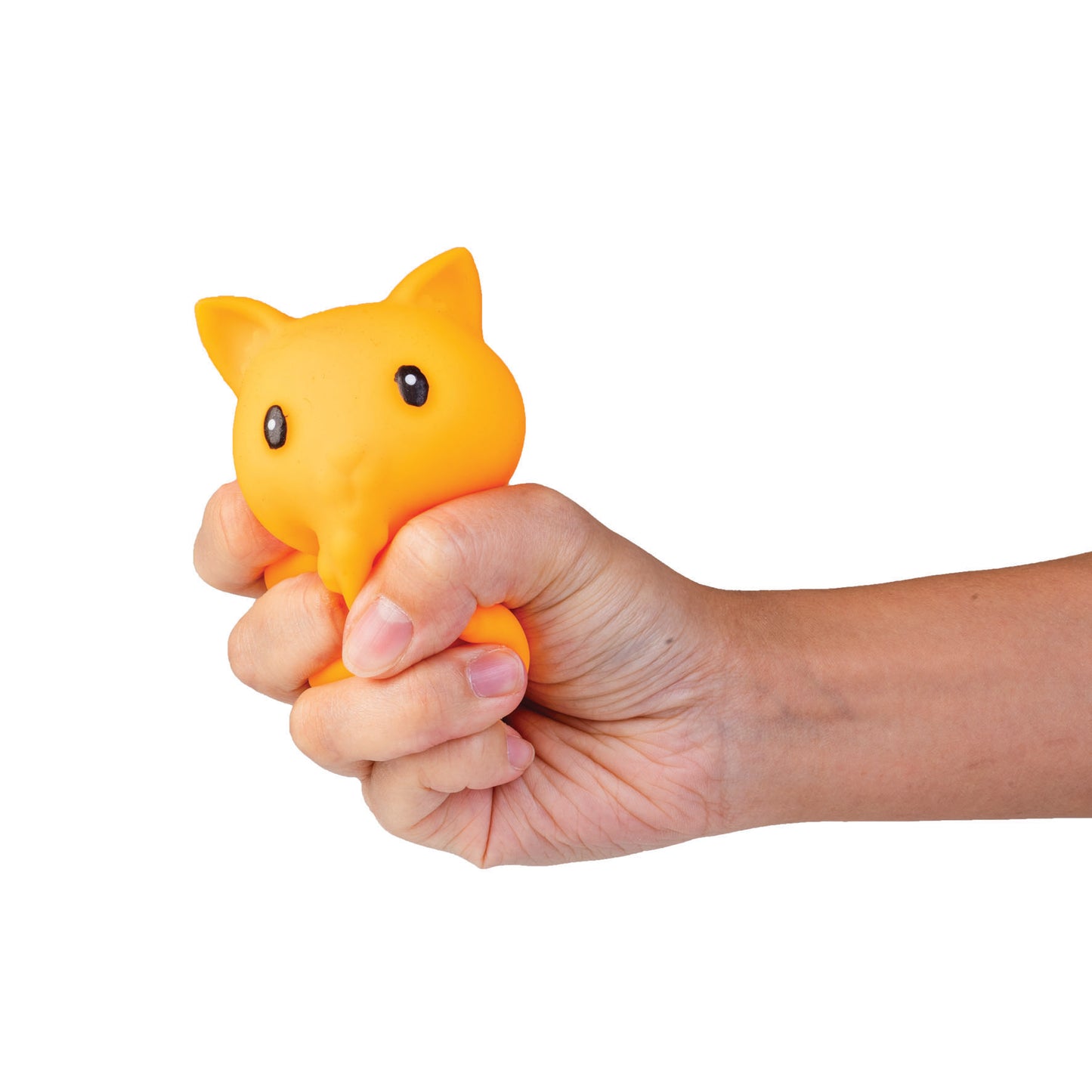 Sensory Squishy Crunchy Pets