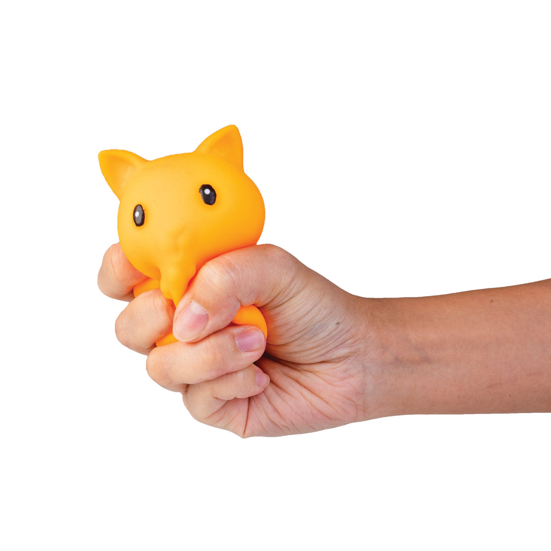 Sensory Squishy Crunchy Pets