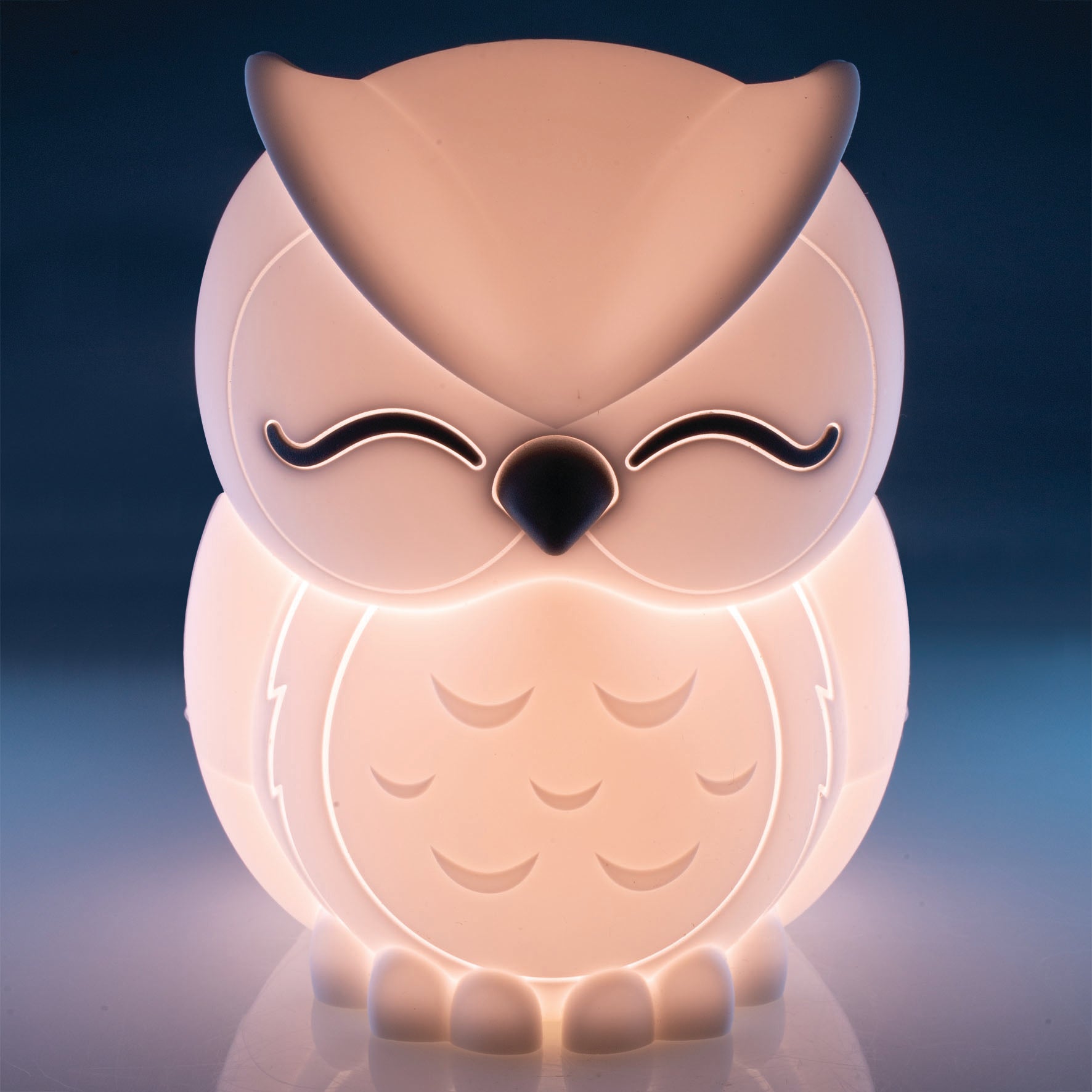 Lil' Dreamers Owl Soft Touch Night Light