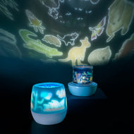 Australiana Rotating Projector Light