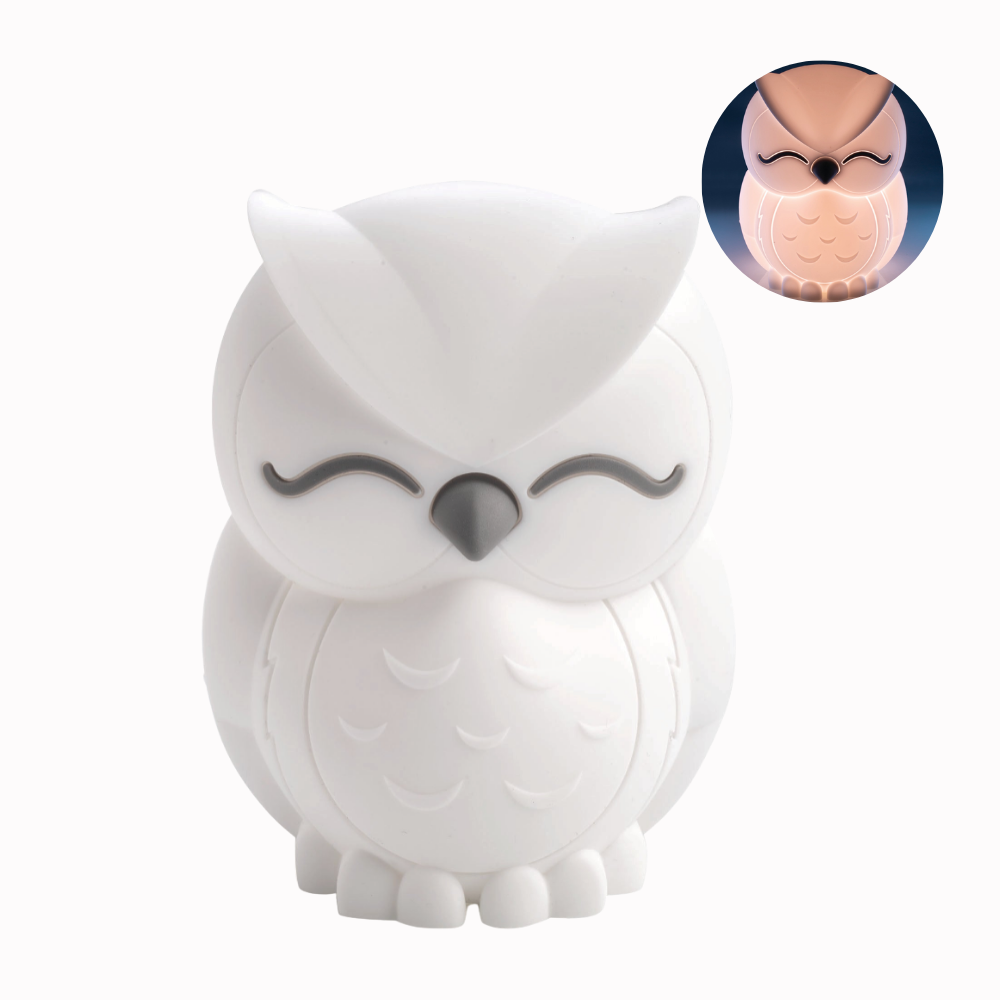 Lil' Dreamers Owl Soft Touch Night Light